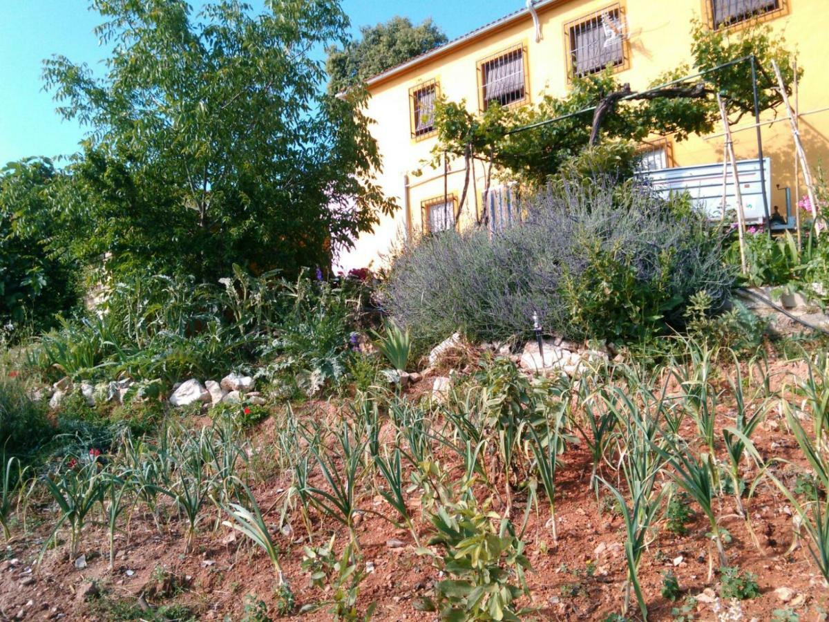 Cortijo De La Cruz Vila Iznájar Exterior foto